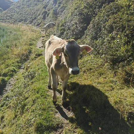 Christl Appartement Sankt Jakob in Defereggen